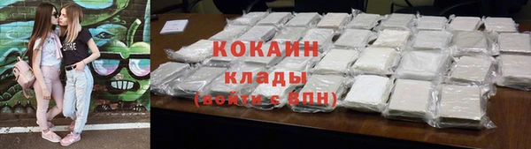 сатива Богданович