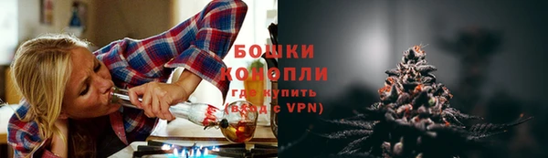 дживик Богородицк