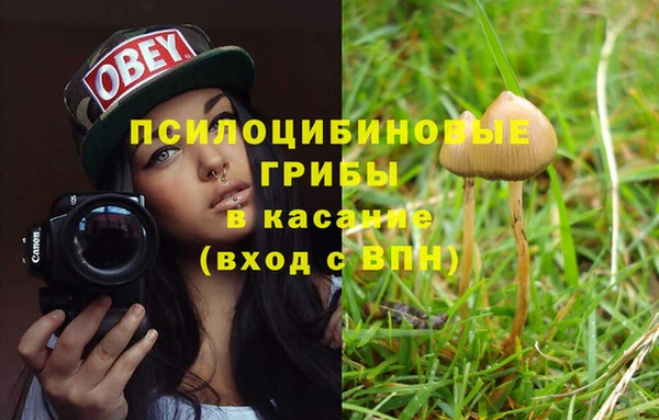 дживик Богородицк