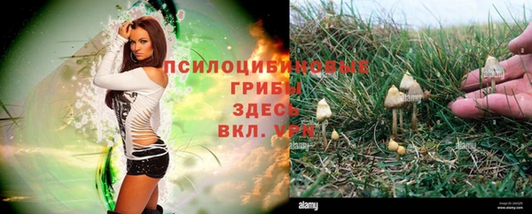 дживик Богородицк