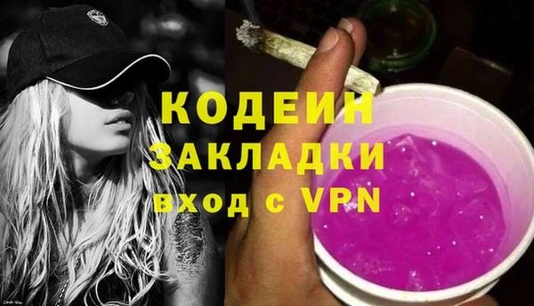 дживик Богородицк
