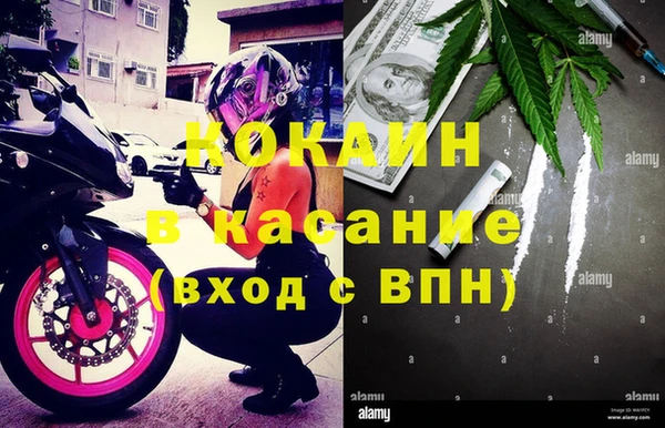 сатива Богданович