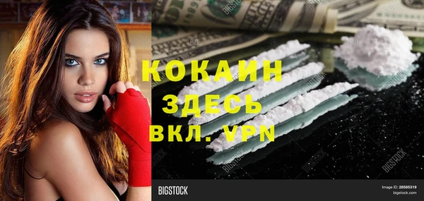 сатива Богданович