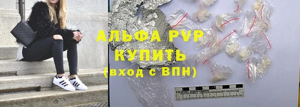 сатива Богданович
