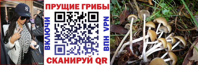 что такое наркотик  Дальнереченск  Галлюциногенные грибы MAGIC MUSHROOMS 